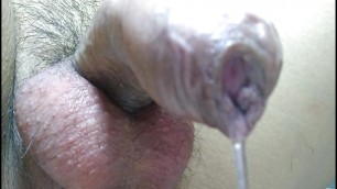 Close up precum leaking in toilet by hand free orgasm through cock ring and vibrator
